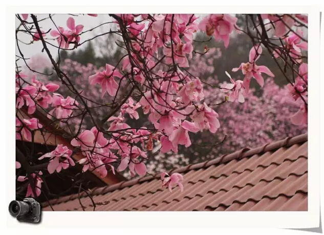 四川綿陽