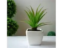 夏日帶上柯尼卡美能達(dá)復(fù)印機(jī) 添點(diǎn)綠植 泡個花茶 時刻保濕 一起涼快辦公